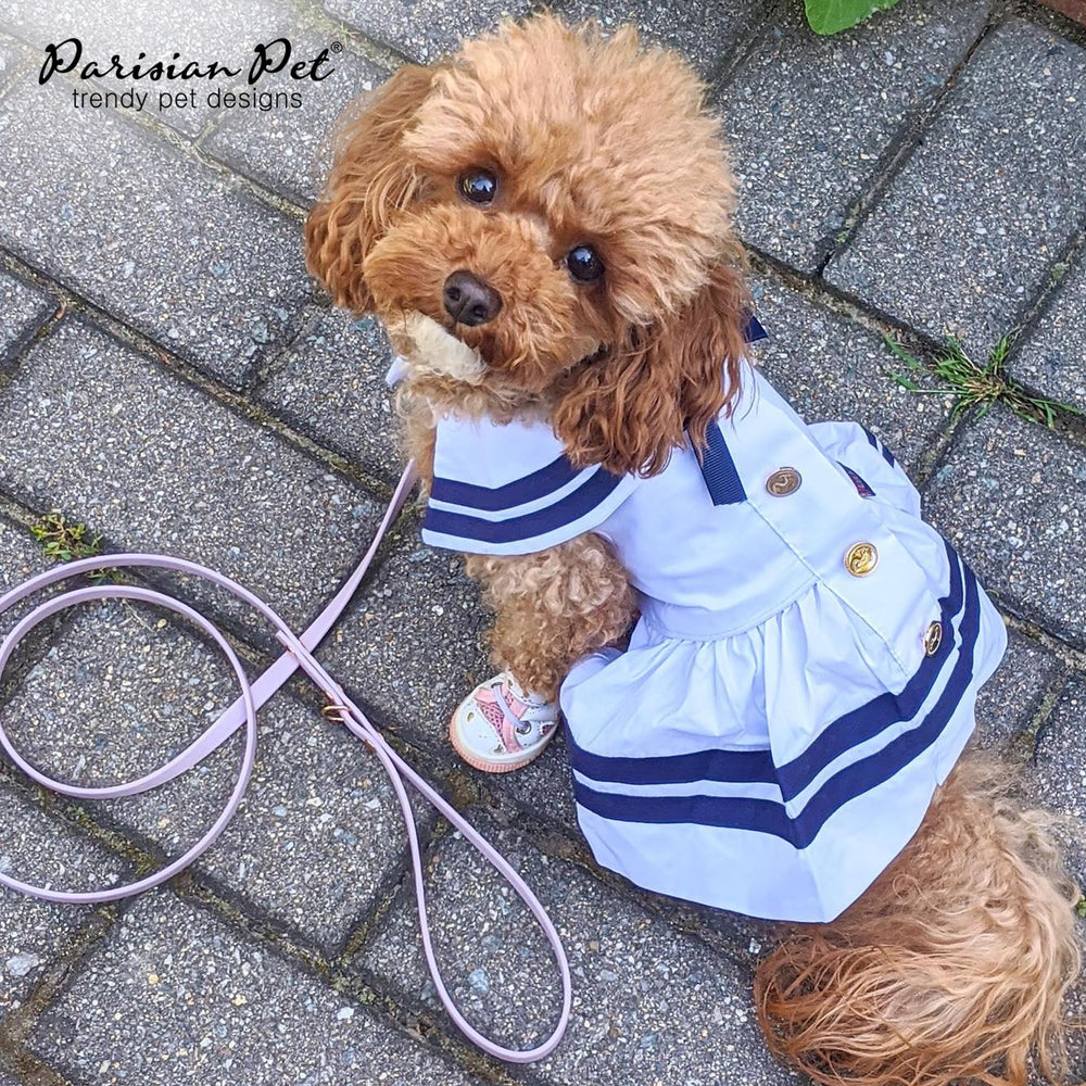 Attaches magiques Velcro pour enfiler rapidement la robe Parisian Pet.