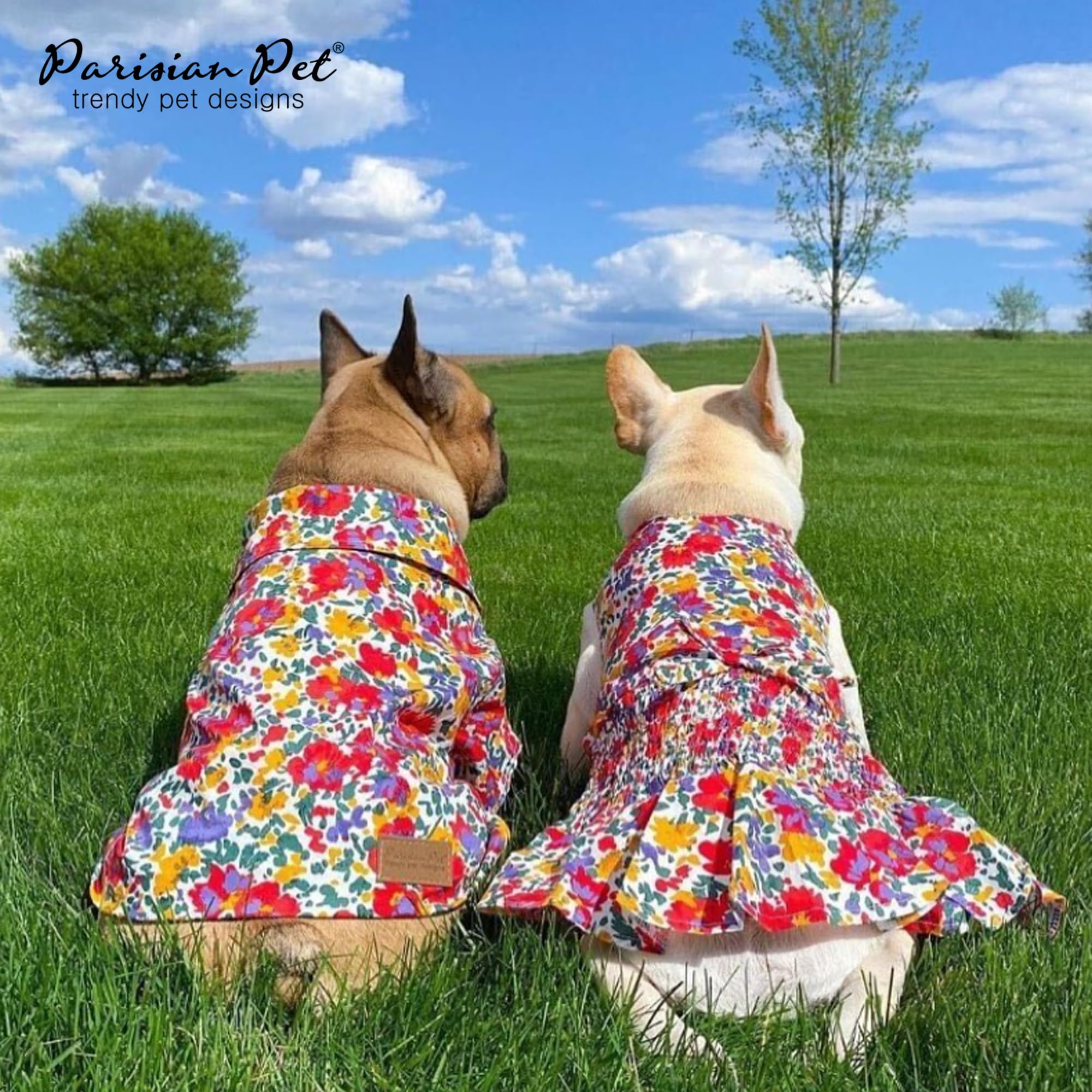 Robe sans manches Parisian Pet, design léger pour journées ensoleillées.