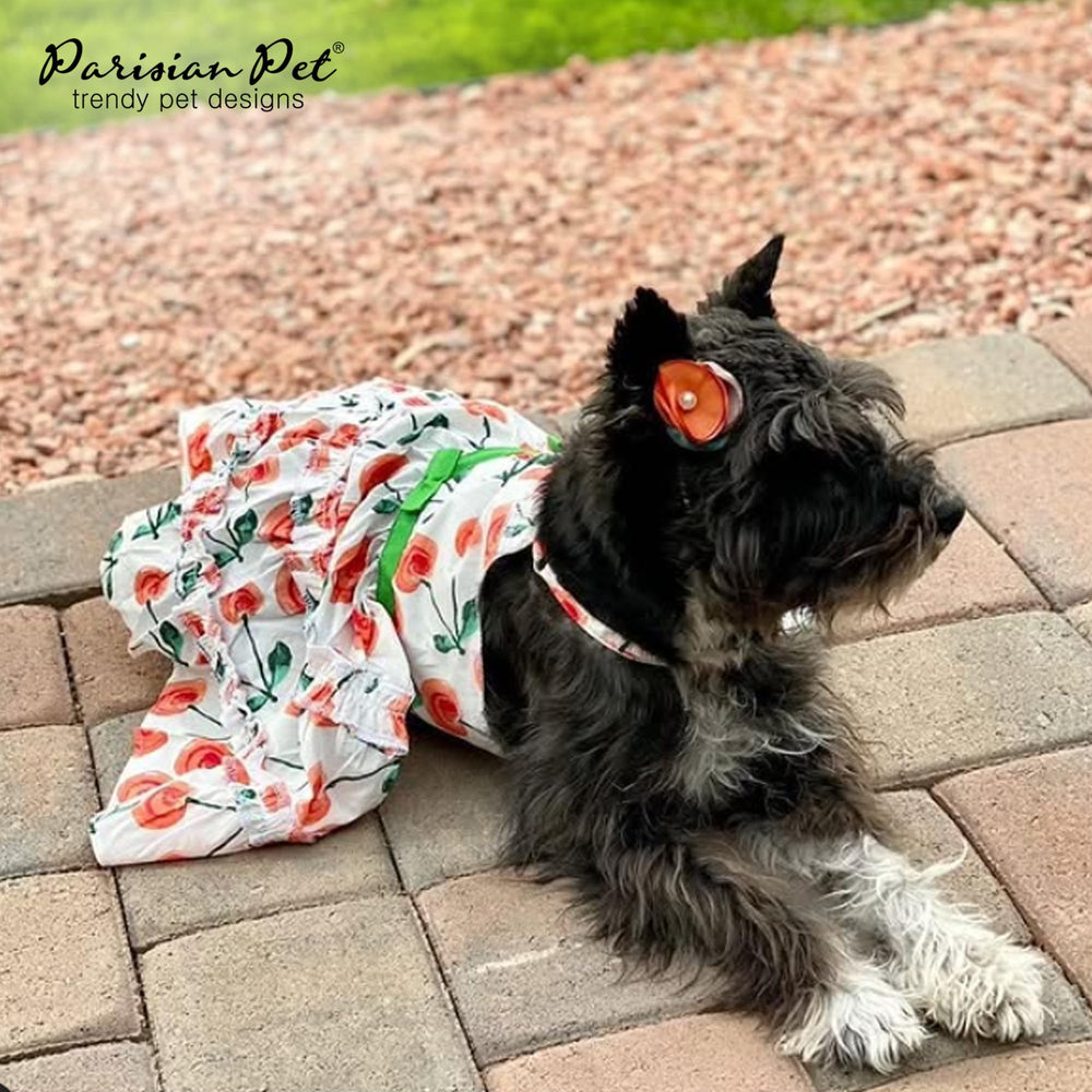 Guide des tailles Parisian Pet: XS à 3XL.