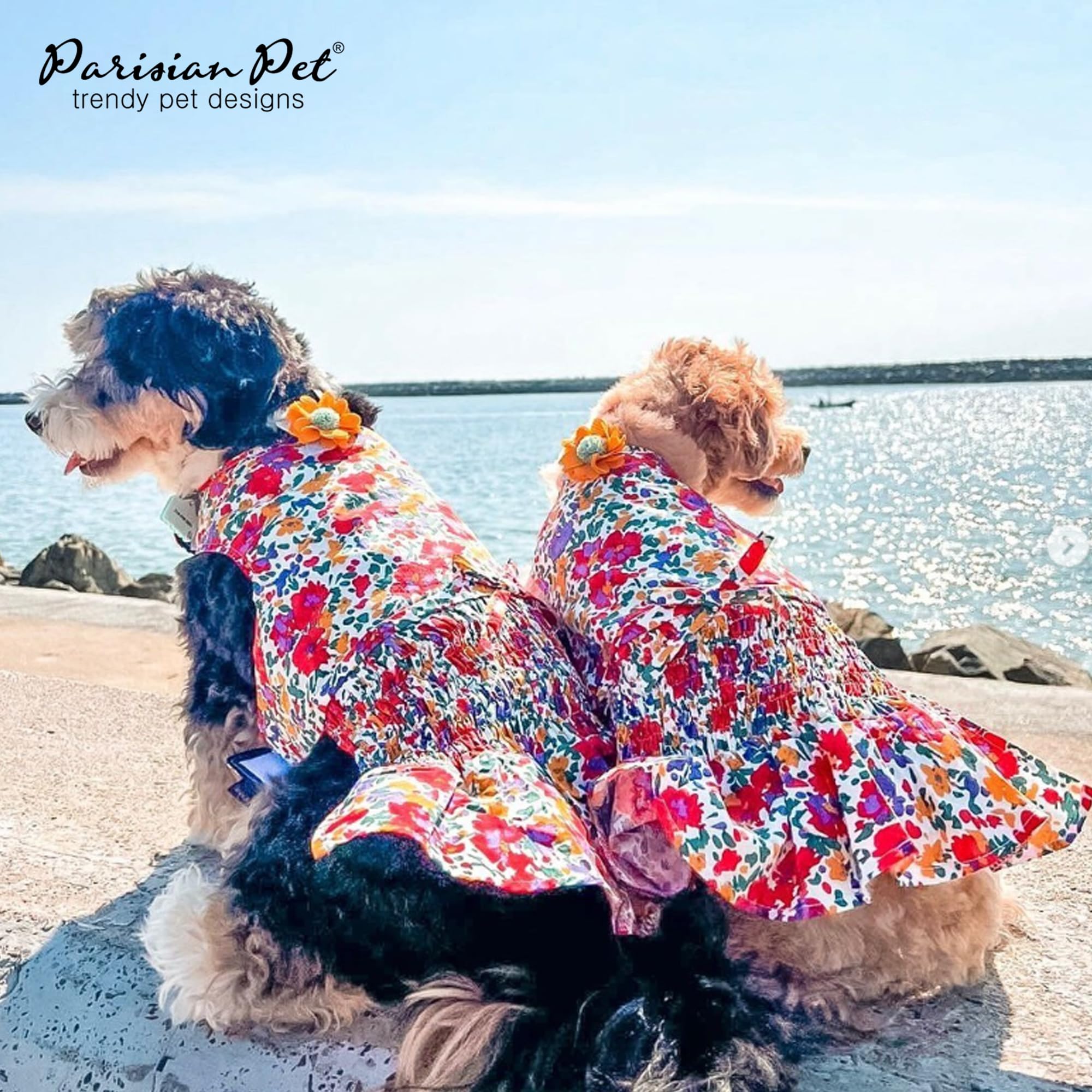 Robe Parisian Pet en tailles XS à 3XL, adaptée à diverses morphologies.