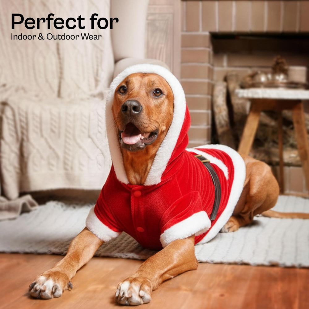 Parisian Pet Sweat capuche Noël boucle dorée et fermeture pratique.