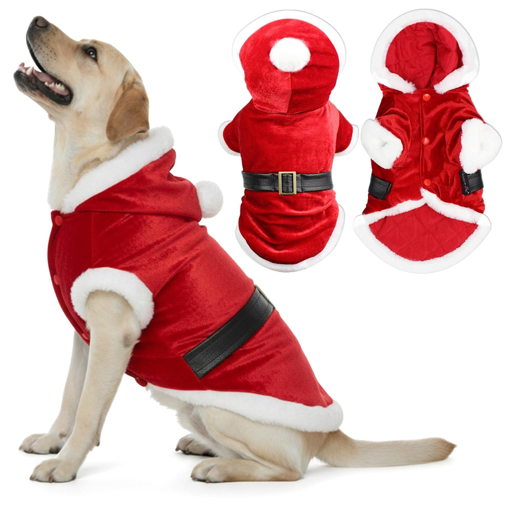 Parisian Pet Sweat capuche Noël vue visage, chaleur douce pour balades hivernales.