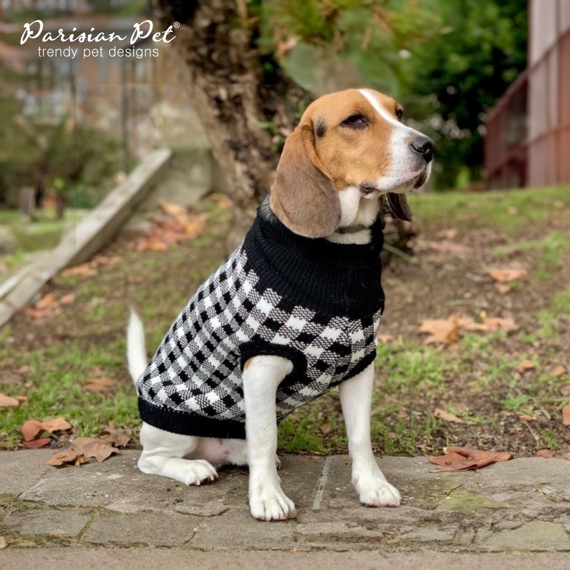 Pull chaud et élégant pour grands chiens, idéal pour les sorties hivernales.