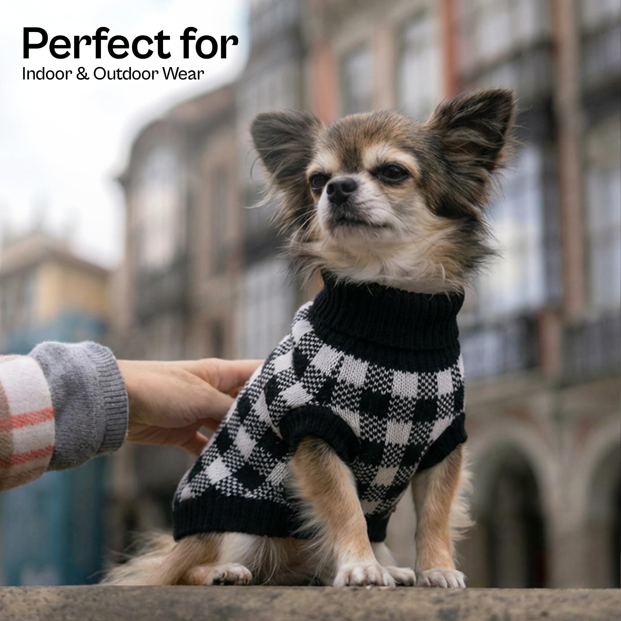 Pull Parisian Pet 2XL, blanc et noir, confort durable pour grand chien.