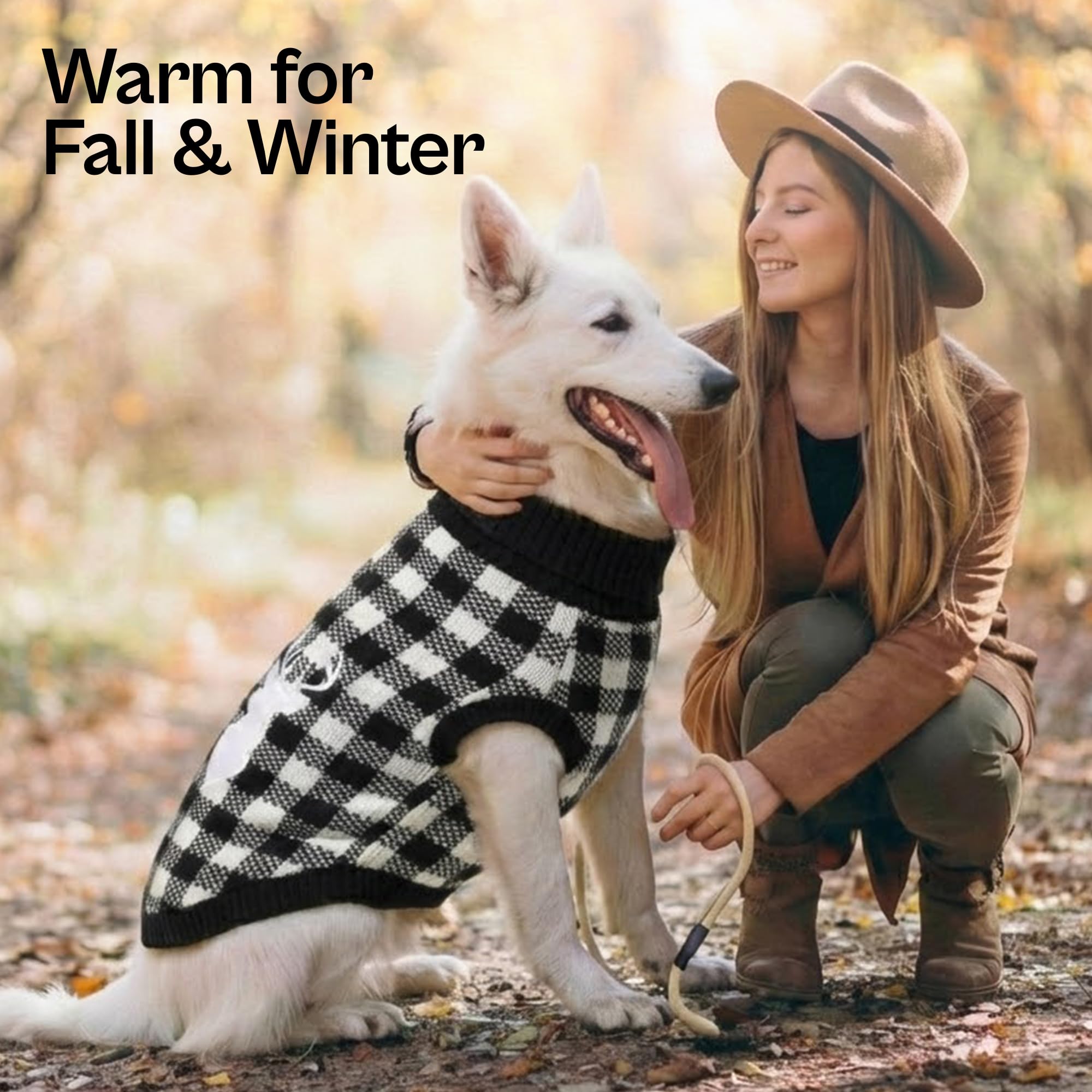 Pull Parisian Pet col roulé, design chic et pratique pour l'hiver canin.