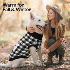 Pull Parisian Pet col roulé, design chic et pratique pour l'hiver canin.