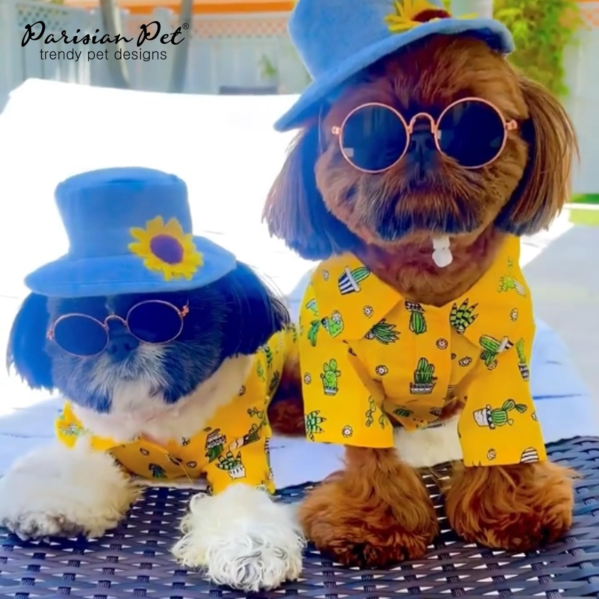 T-shirt chien tropical jaune Parisian Pet, style estival et entretien facile