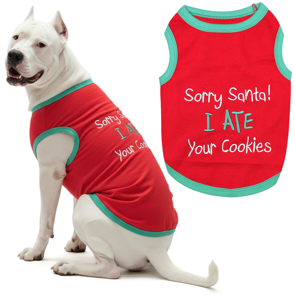 Tee-shirt Noël brodé Parisian Pet sur chien, look festif et confortable.
