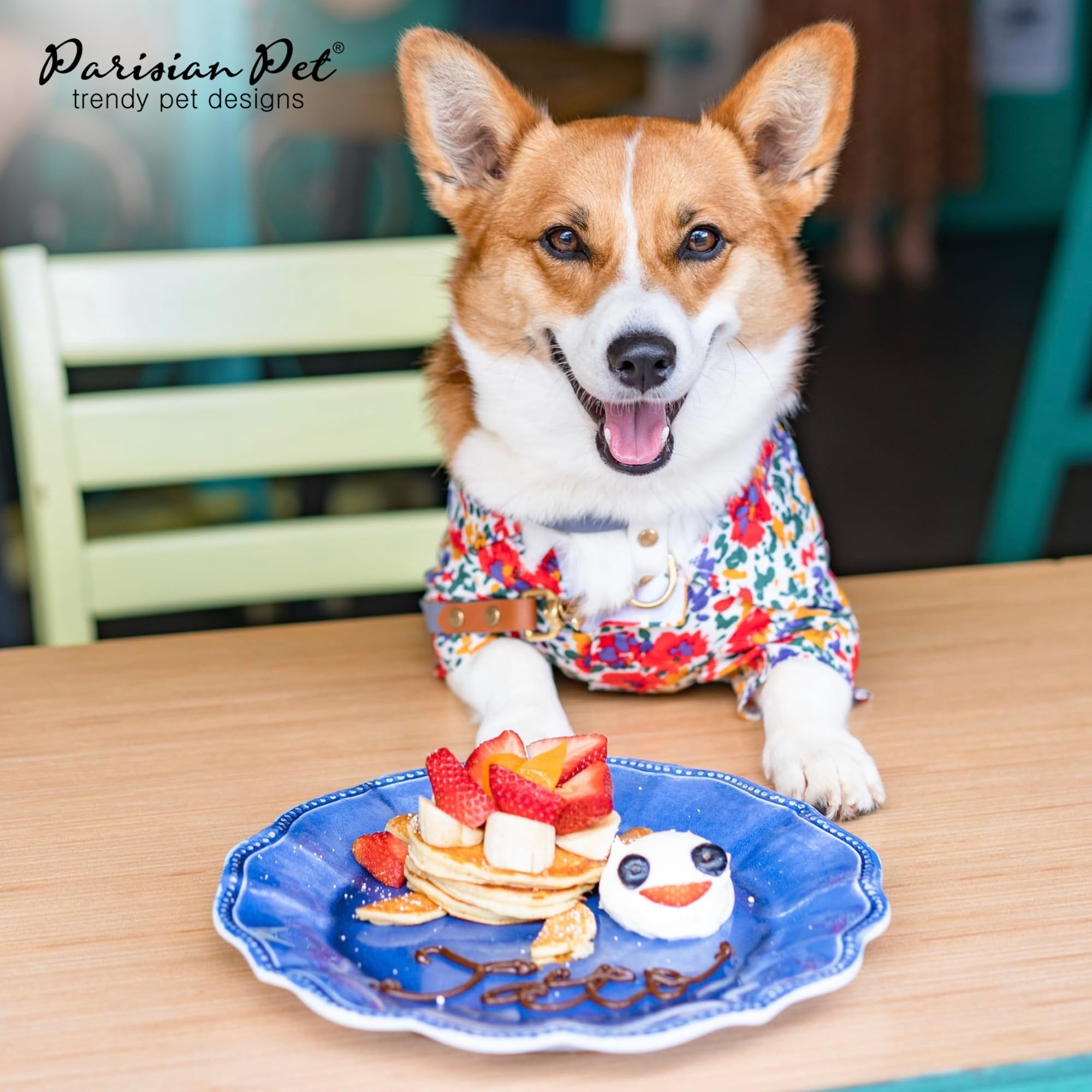 Parisian Pet tenue d'été légère – idéale pour plage et vacances.