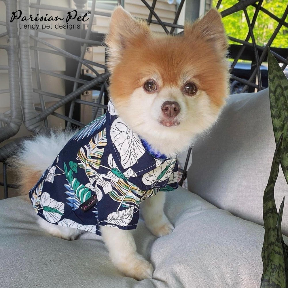 Parisian Pet T-shirt coupe relaxed pour liberté de mouvement.