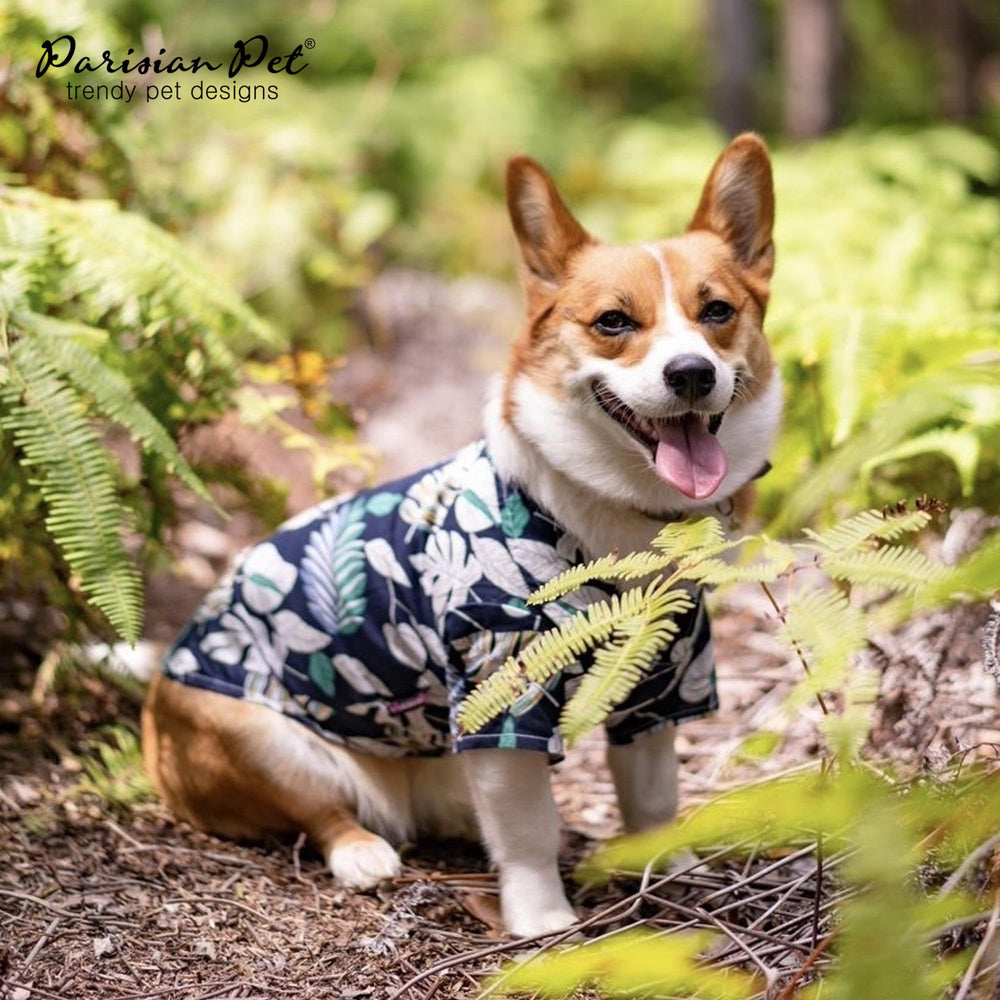 Parisian Pet T-shirt chien enfilage facile avec Velcro pratique.