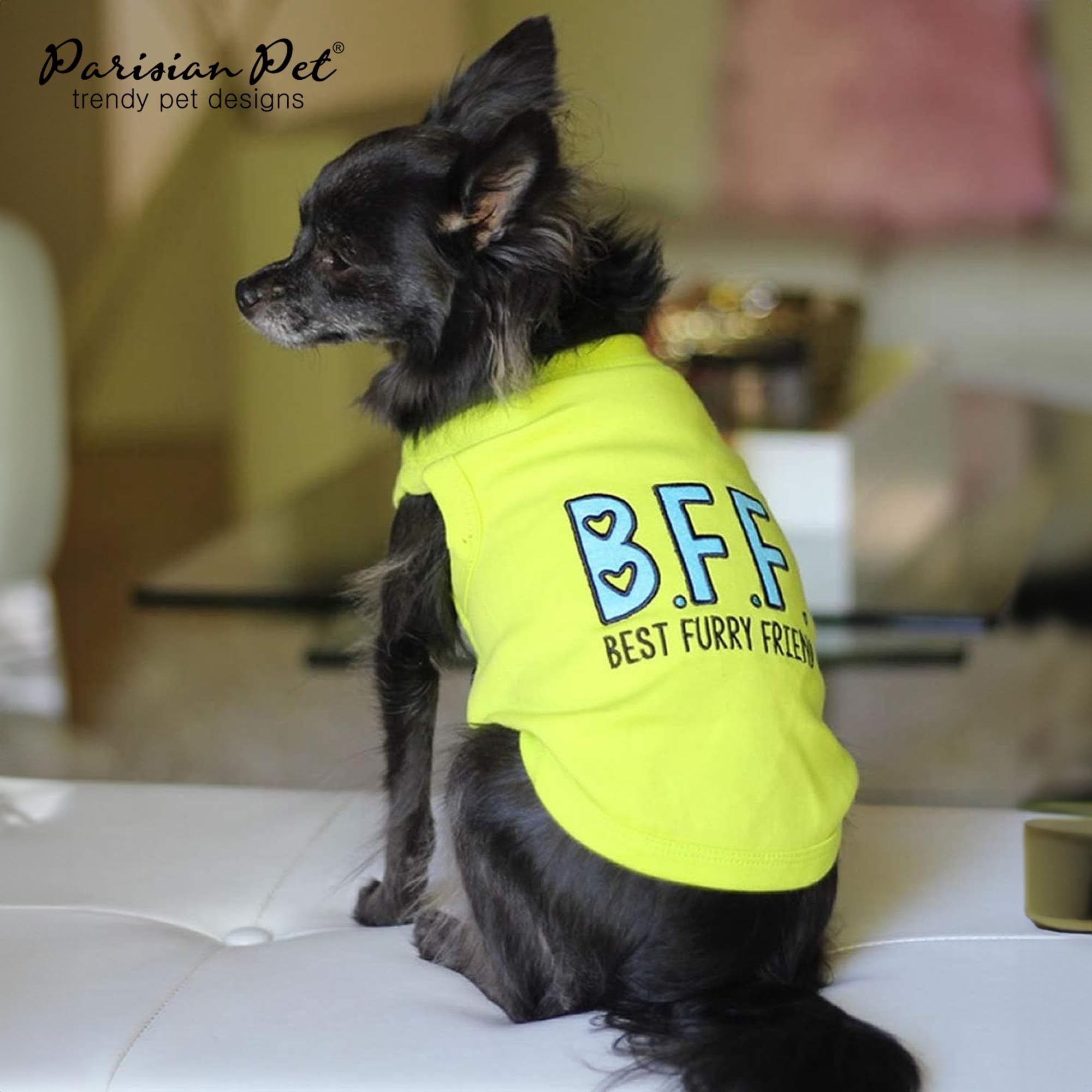 Parisian Pet T-shirt lavage en machine, entretien pratique.