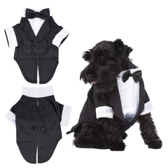 Robe smoking Parisian Pet noire avec chemise blanche et noeud papillon, élégance canine.