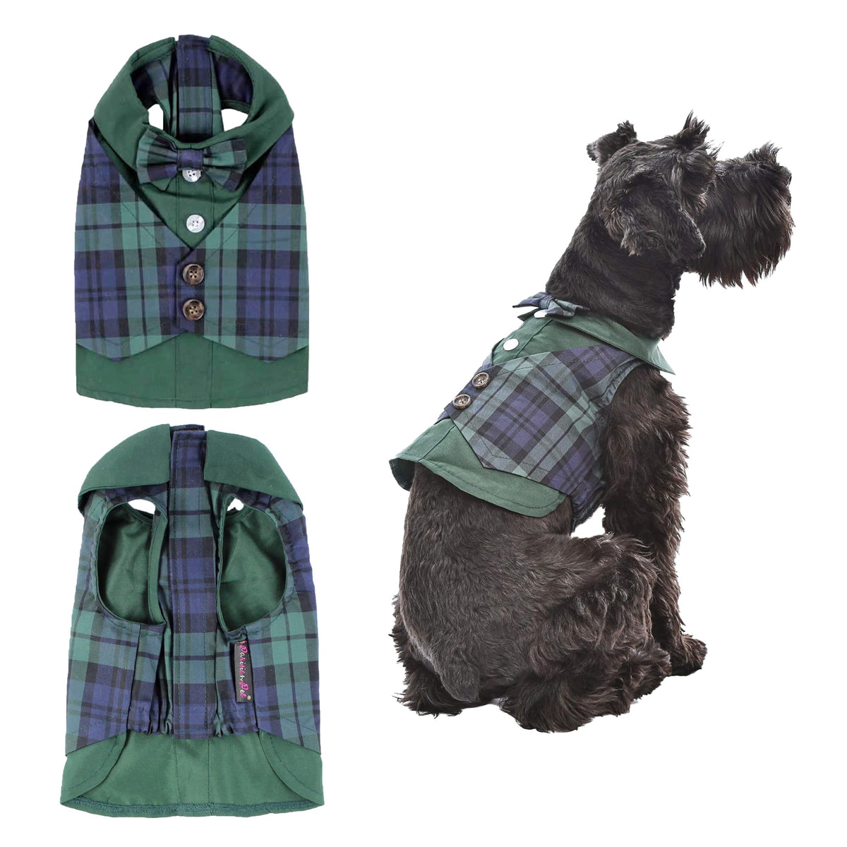 Parisian Pet tuxedo tartan vert bleu sur chien, look élégant pour occasions spéciales