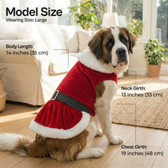 Parisian Pet robe velours rouge pour chien, chaleur douce.