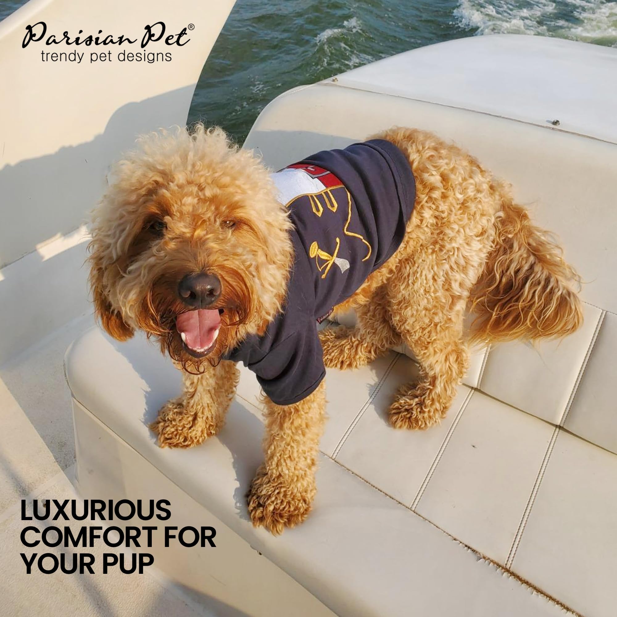 Parisian Pet veste pirate avec details dore pour chien chic.