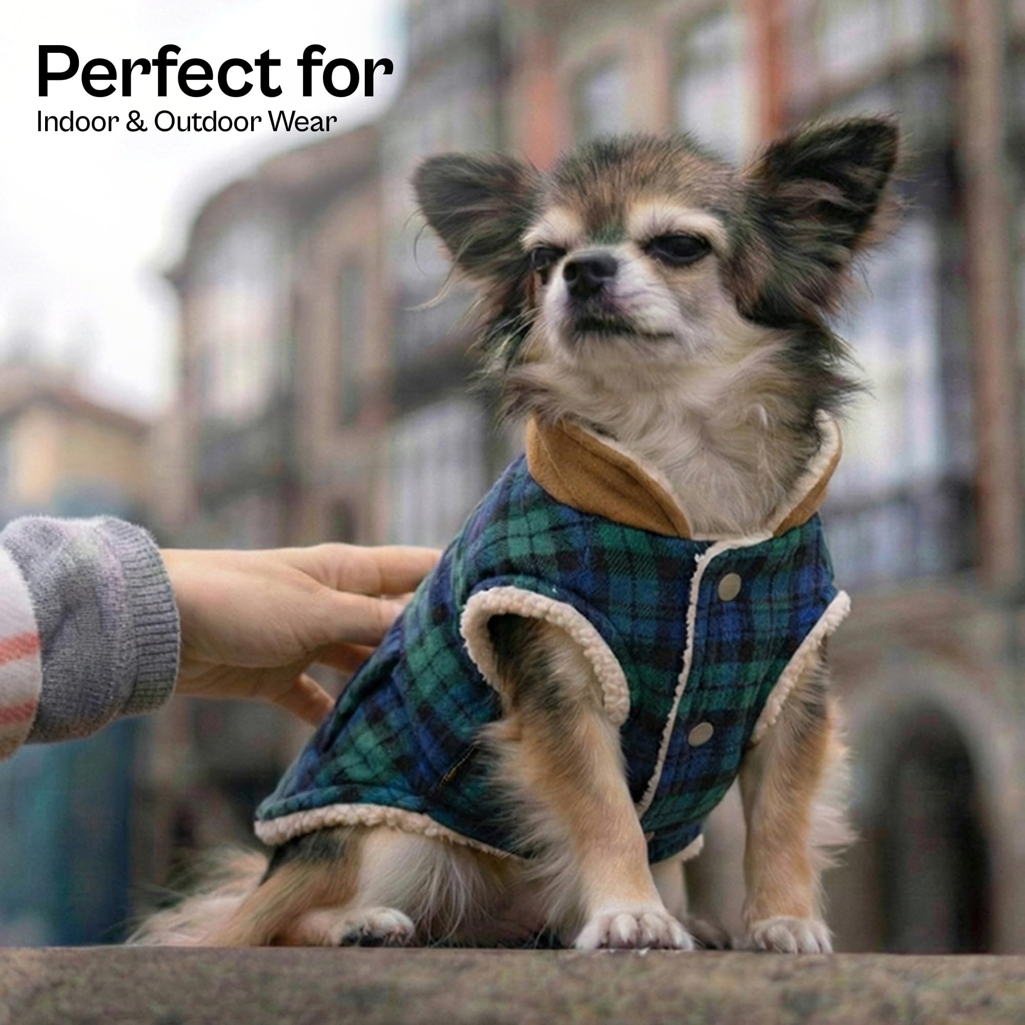 Détail-polaire doux pour Parisian Pet, plaid vert, chaleur agréable.