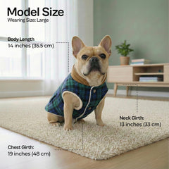 Veste Parisian Pet pour chien, plaid écossais vert, vue dos, confort et protection contre le vent.