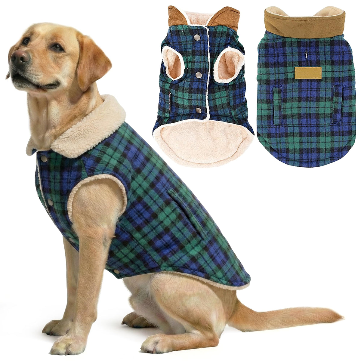 Veste Parisian Pet pour chien, plaid écossais vert, vue face, chaleur et style.