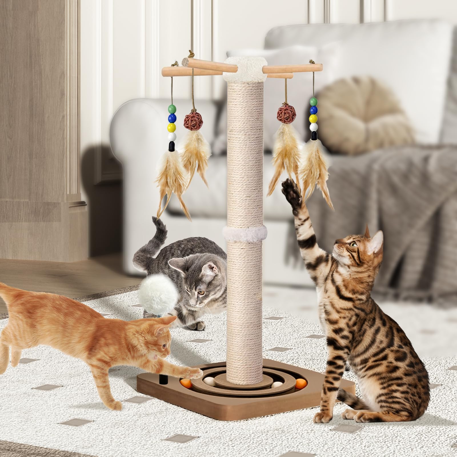 Paroto-centre-activite-chaton: espace tout-en-un pour grimper et jouer.