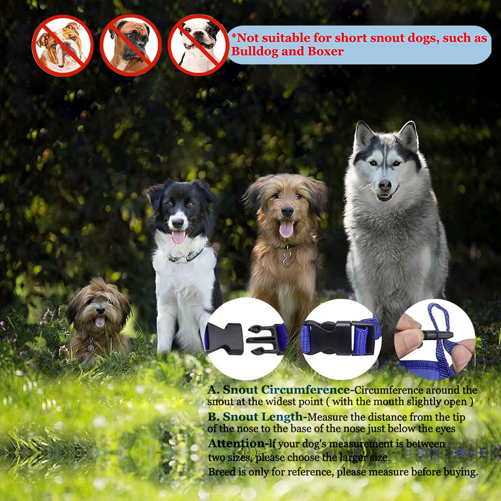 Parts Express masque-chien bleu, masque en action lors des sorties quotidiennes.