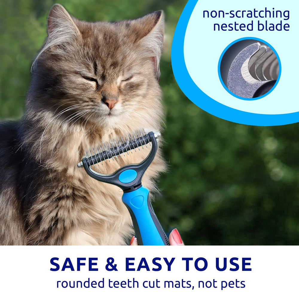 Pat Your Pet, badge-patte inclus, accessoire pratique pour collier.