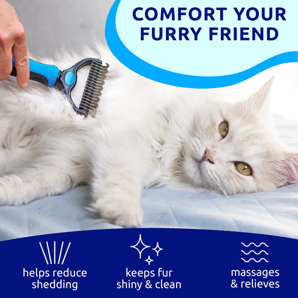 Pat Your Pet, usage domestique simple, résultats progressifs.