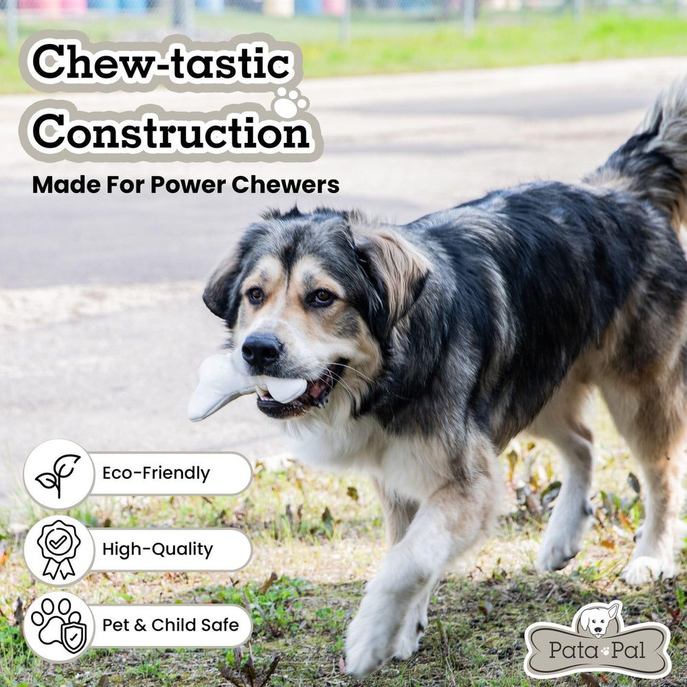 Jouet pour chiens d’intérieur Pata Pal, idéal pour le salon.