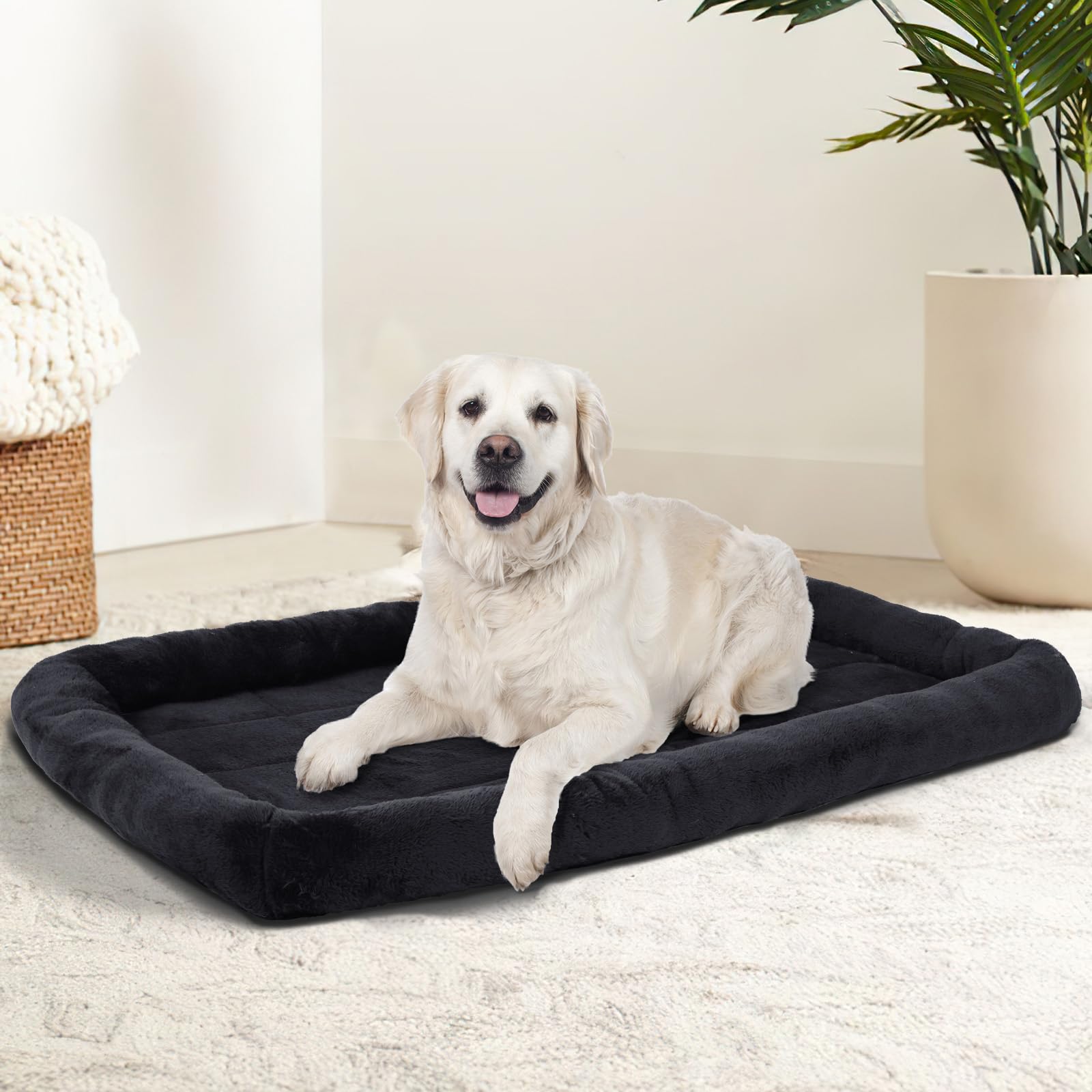 Patas Lague lit-chien-16x12-vue-ensemble: idéal pour races miniatures et caisses 18 pouces.