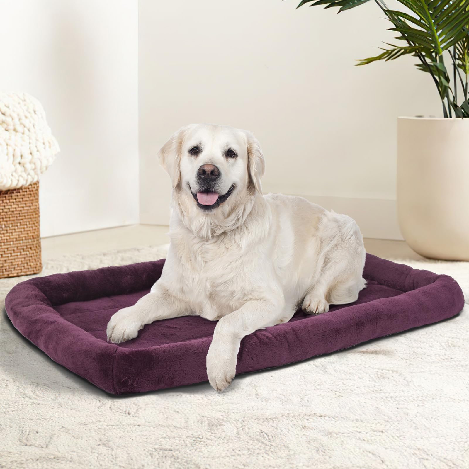 Patas Lague matelas mousse 25D, soutien moelleux.