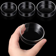 Patelai assiette en verre pour crevettes 60mm avec visibilité claire des aliments