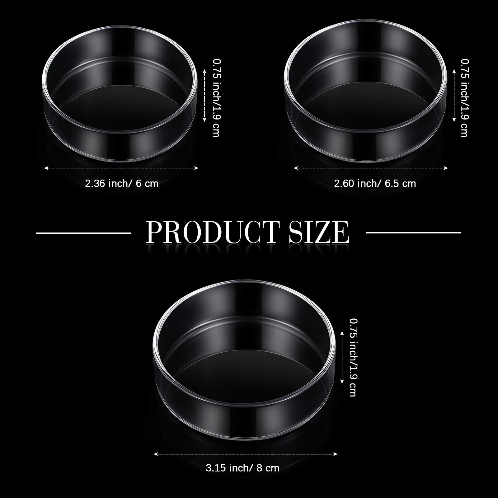 Patelai assiette en verre pour crevettes 65mm pratique et durable
