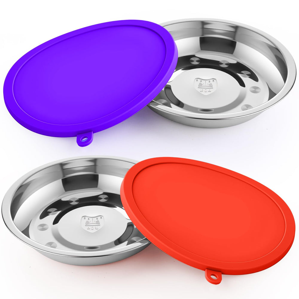 Patelai bol en acier inoxydable pour des repas propres et durables.