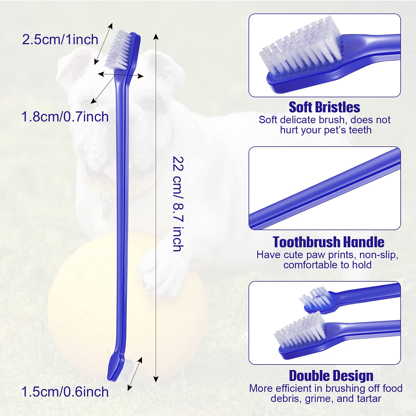 Patelai brosse-dents chien, poignée longue pour atteindre les zones difficiles.