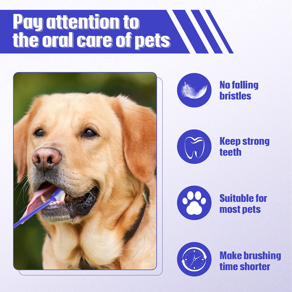 Patelai ensemble 100 brosses-dents, pratique et durable pour tous les chiens.