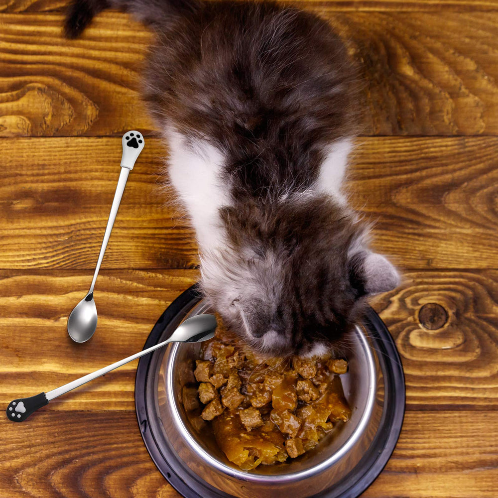 Ensemble de 6 cuillères Patelai pour l'alimentation quotidienne des animaux.