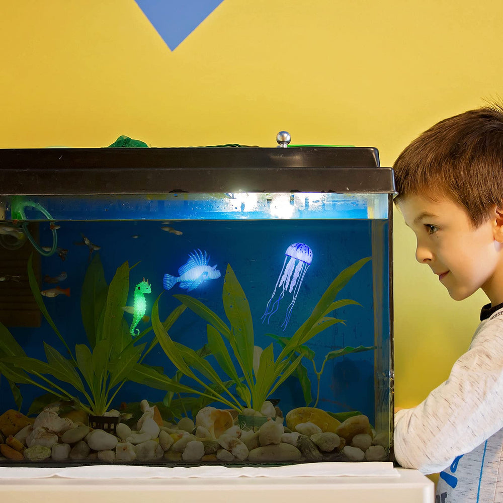 Patelai poissons-lion lumineux bleus renforcent le réalisme du bac.