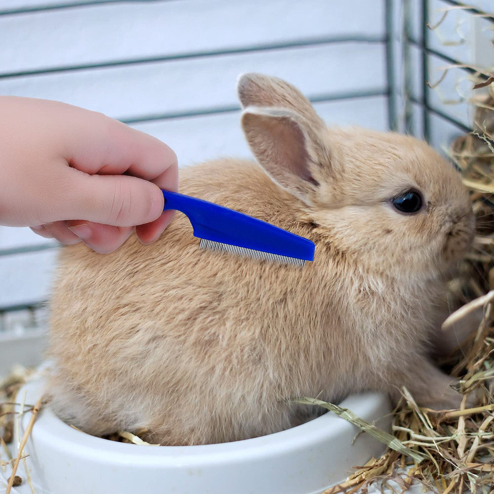 Utilisation simple avec le kit Patelai, toilettage sûr et pratique pour petits animaux.