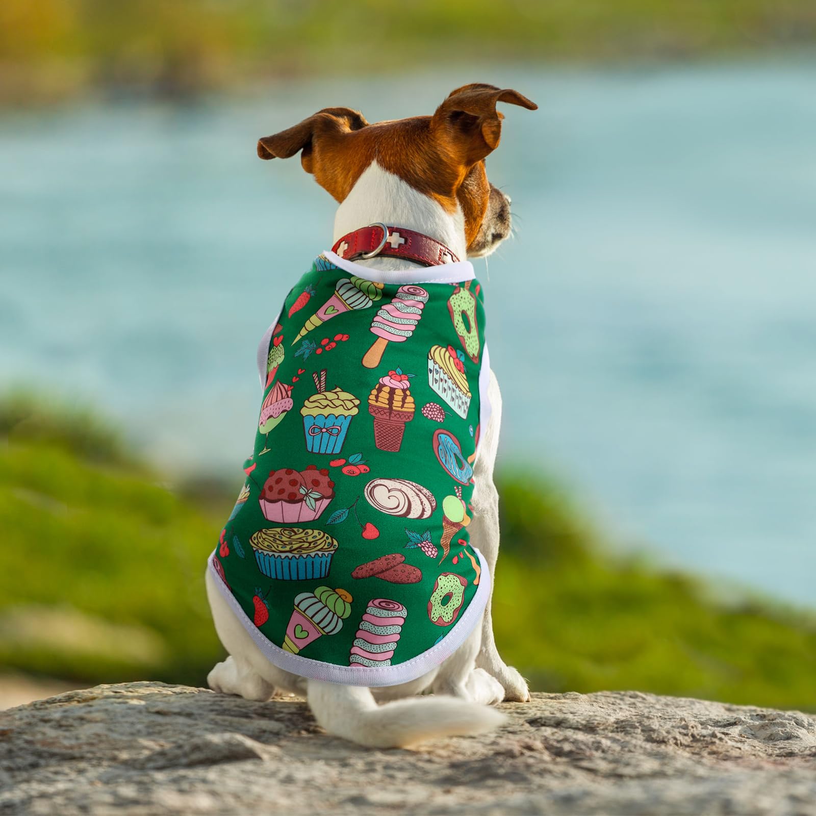 Paterr maillot chat et chien lifestyle: prêt pour les moments à la maison.