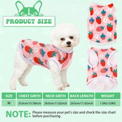 Paterr maillot chien douceur: confort quotidien et liberté de mouvement.