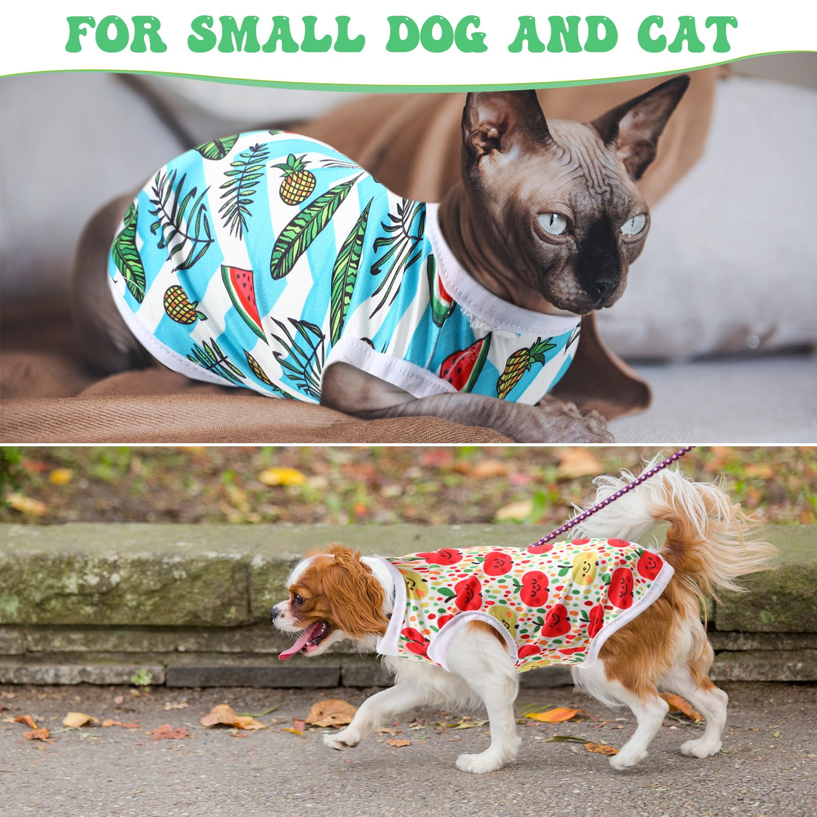 Paterr maillot chien motifs mignons pour un style charmant.