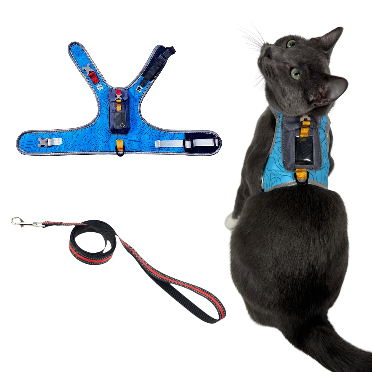Pathfinder harnais chat bleu pour balades sécurisées.