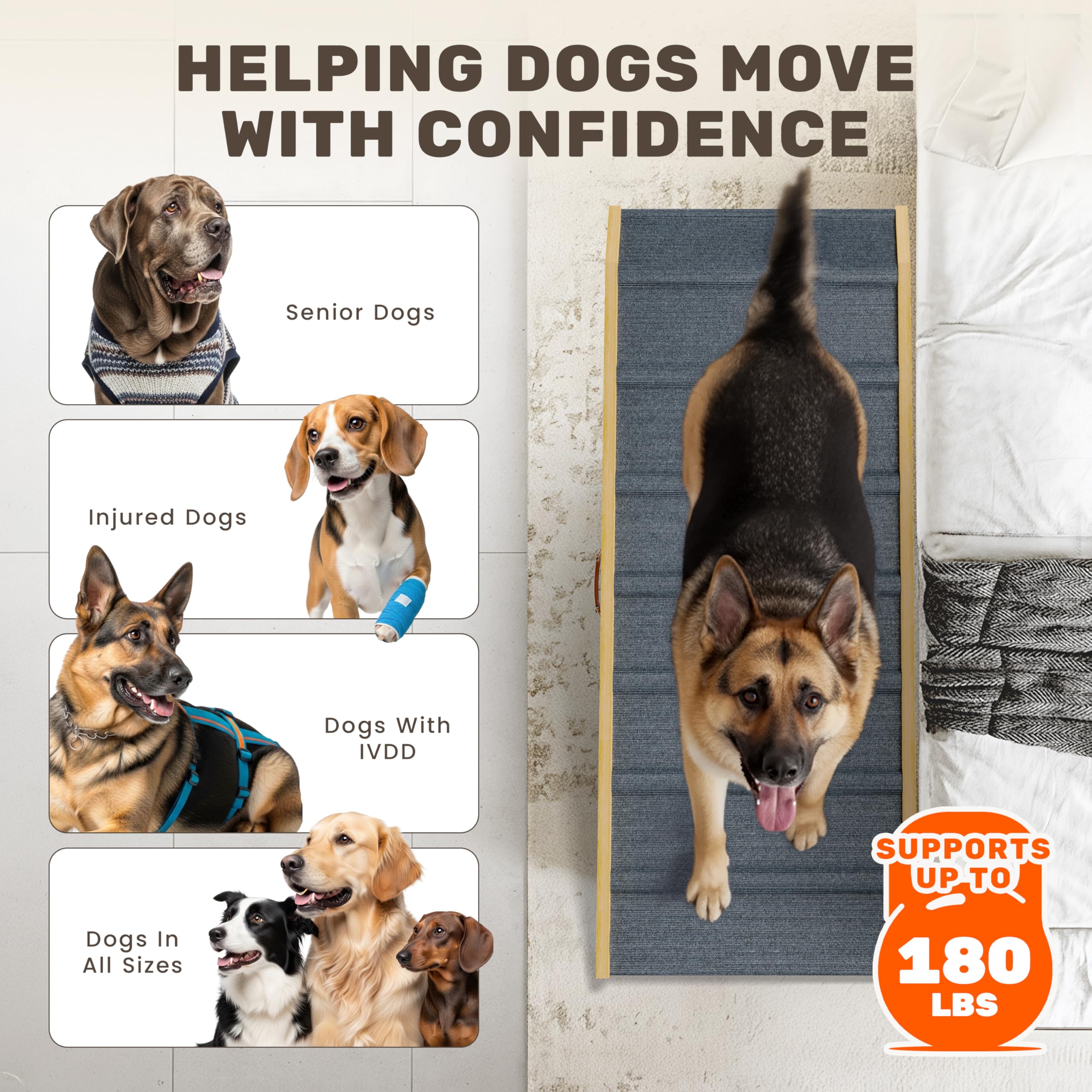 PATHOSIO PETS LITE, descente en douceur, adaptée aux chiens de grande taille.