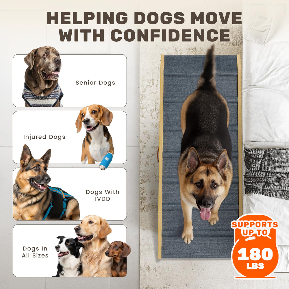 PATHOSIO PETS LITE, descente en douceur, adaptée aux chiens de grande taille.
