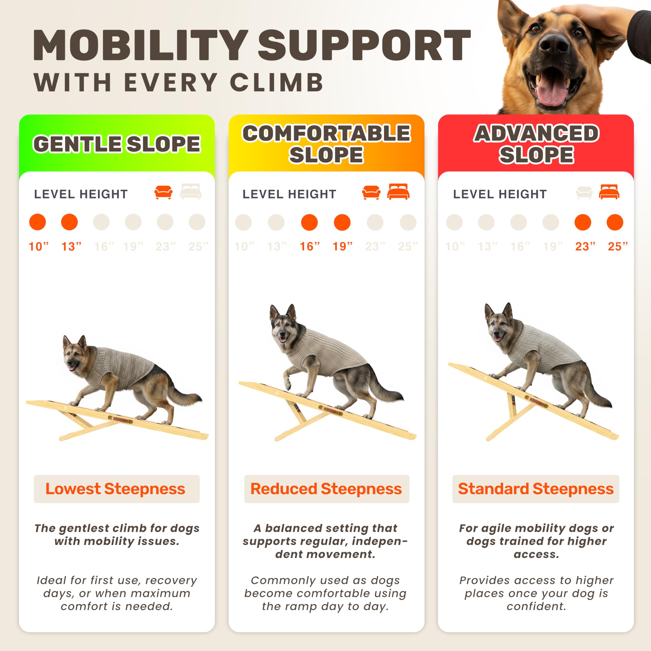 PATHOSIO PETS LITE, utilisation véhicule, aide pratique pour monter dans la voiture.