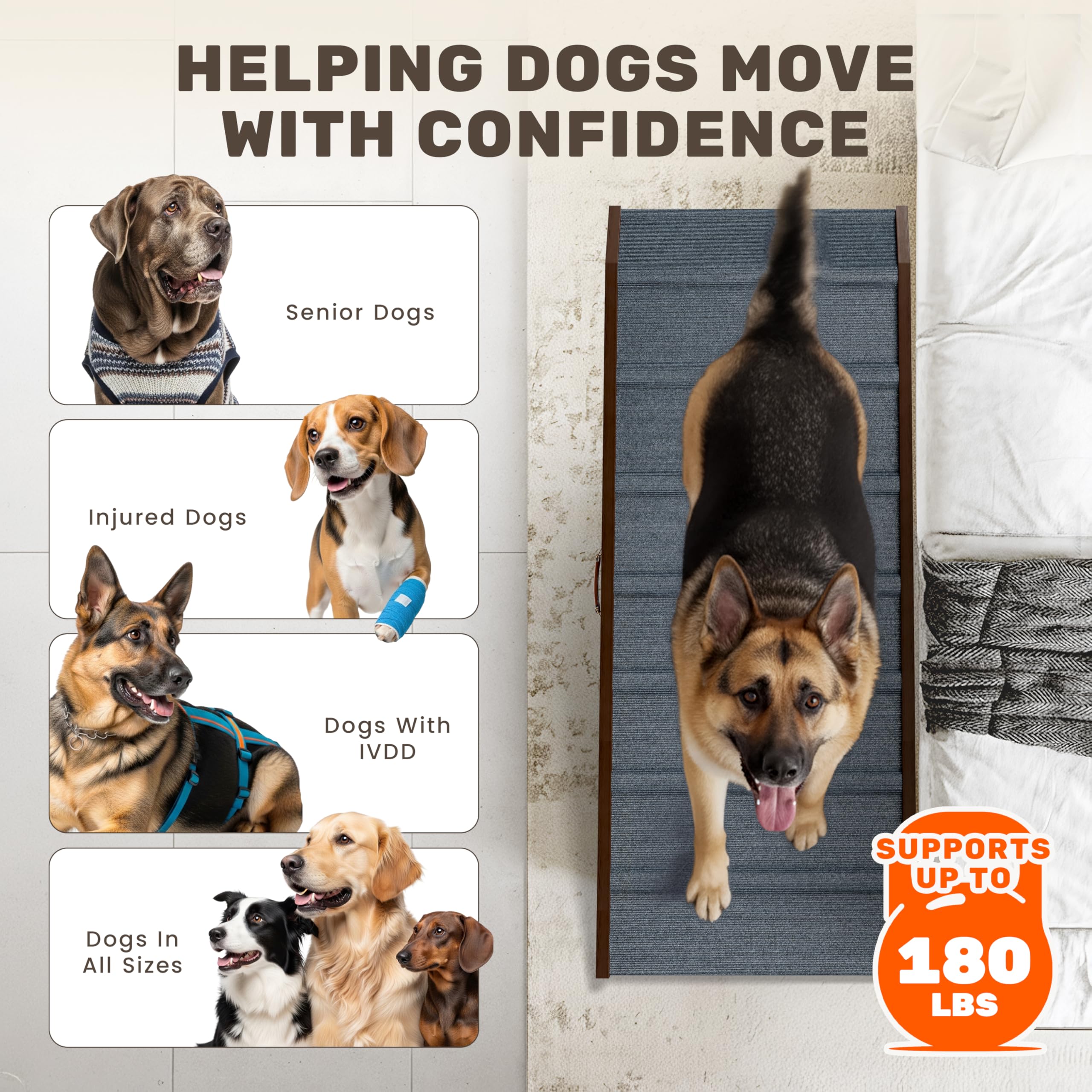 PATHOSIO PETS LITE rampe pour chien, utilisation conviviale dans le salon.