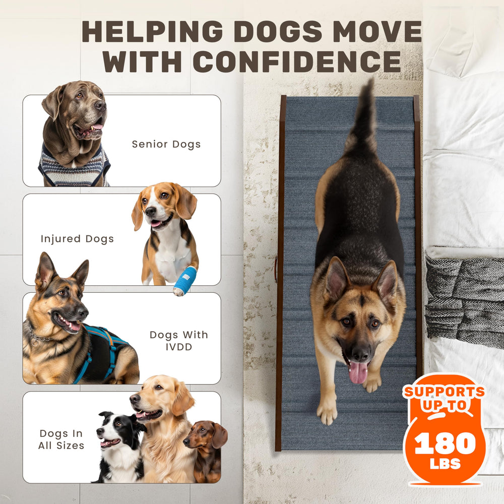 PATHOSIO PETS LITE rampe pour chien, utilisation conviviale dans le salon.