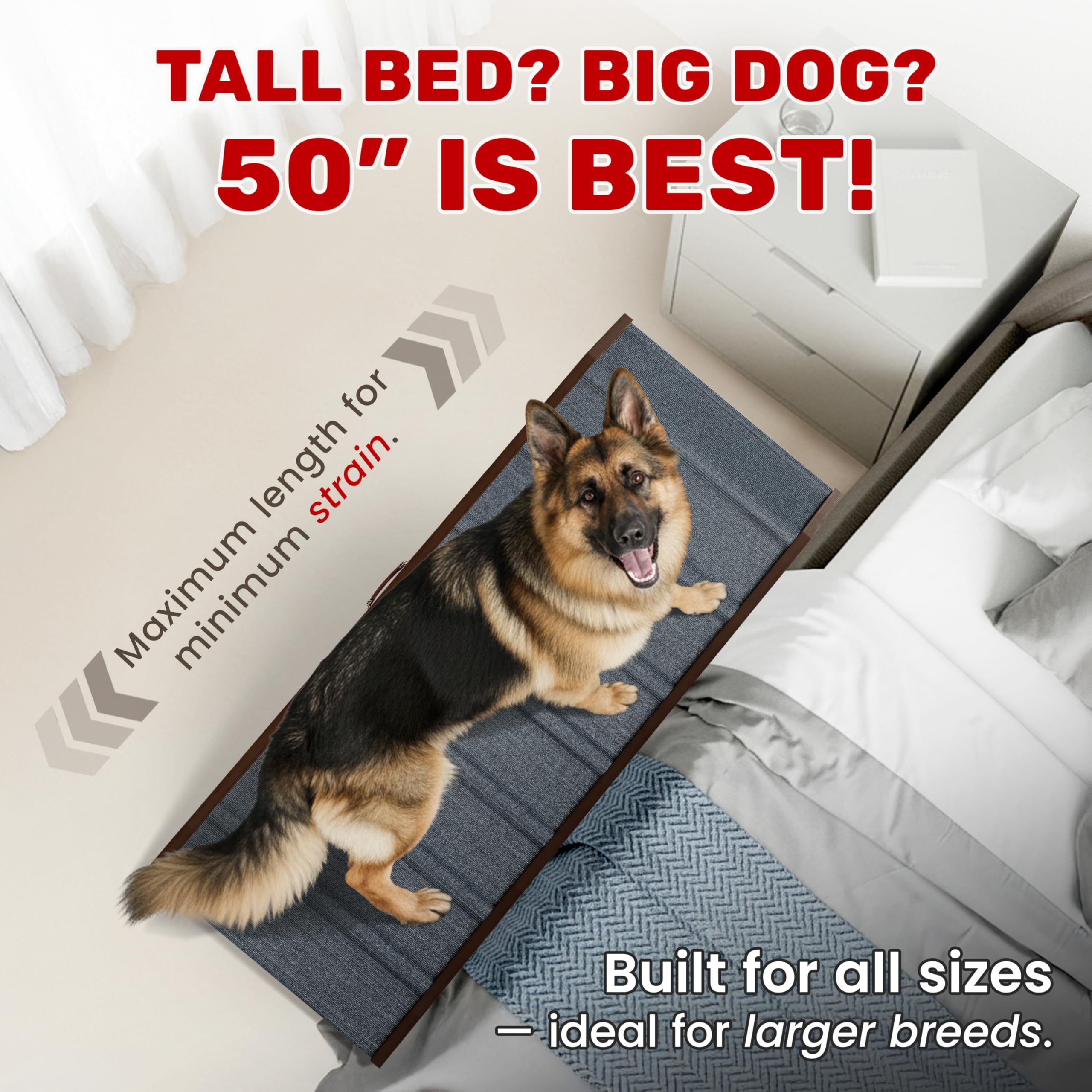 PATHOSIO PETS LITE rampe pour chien, vue latérale, stabilité et soutien.