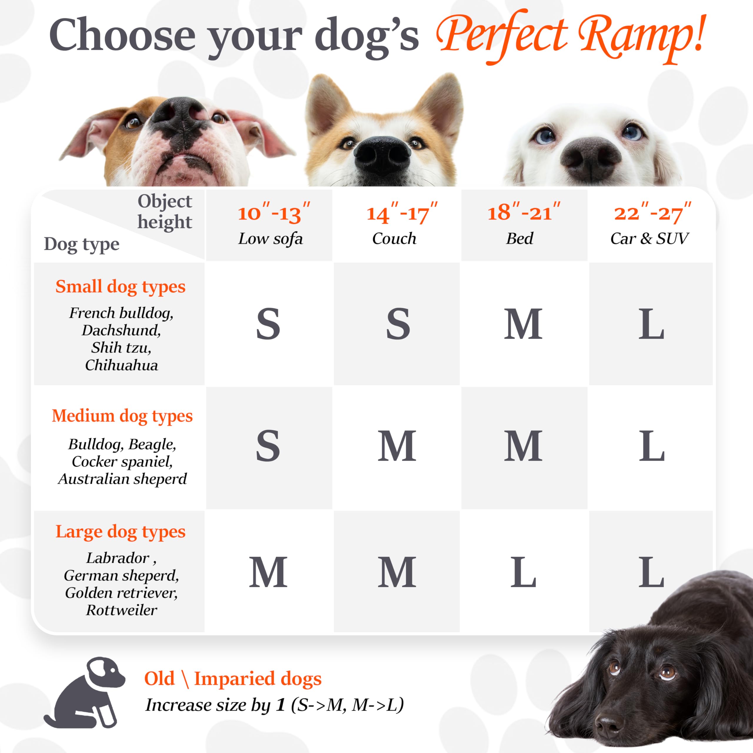 Rampe pliable Pathosio Pets, rangement facile après usage.