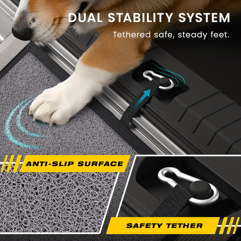 Cadre aluminium robuste PATHOSIO PETS, supporte jusqu'à 250 lb pour chiens de toutes tailles.